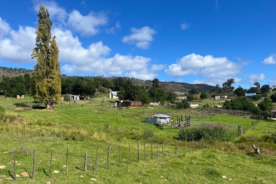 0 Bedroom Property for Sale in Haarlem Western Cape